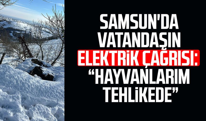 Samsun'da vatandaşın elektrik çağrısı