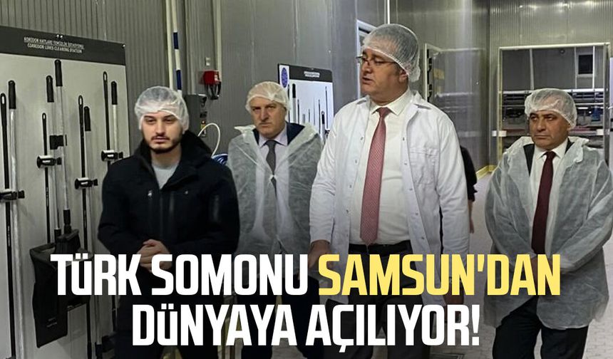 Türk somonu Samsun'dan dünyaya açılıyor!