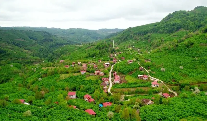 Salıpazarı’nda Kırsal Yaşamın Doğal Akışı