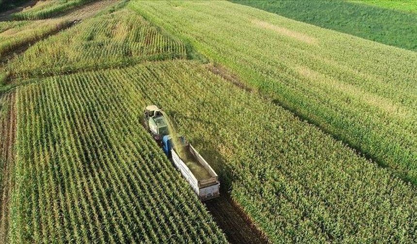 Asarcık ve Ayvacık’ta Kırsal Yaşam Günlüğü
