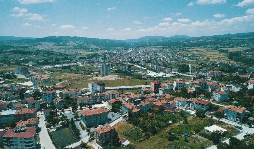 Kavak’ta Mevsim Döngülerinin Etkisi