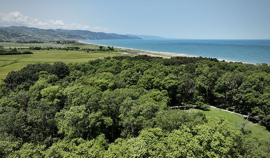 Alaçam’da Kıyı Kasabası Ritmi