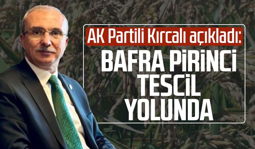 AK Partili Orhan Kırcalı açıkladı: Bafra Pirinci tescil yolunda