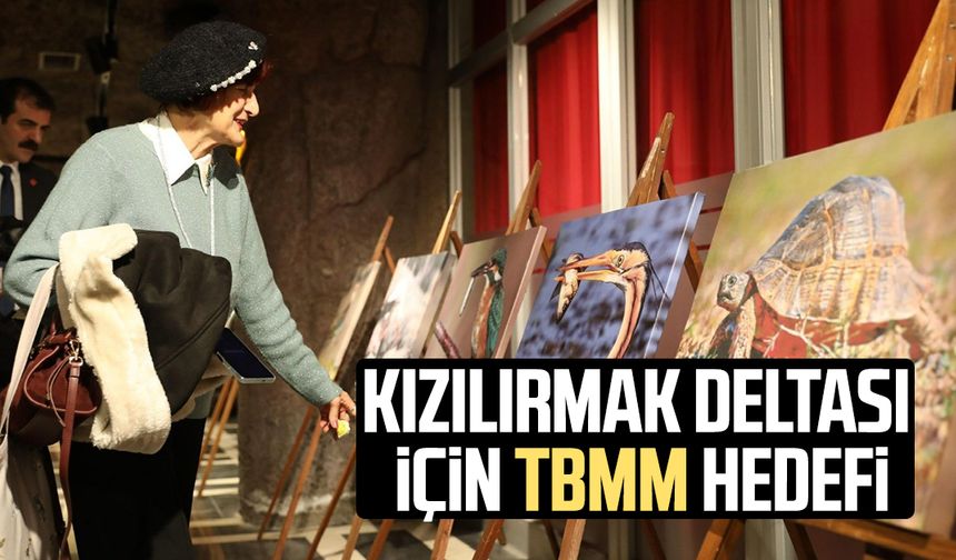 Kızılırmak Deltası için TBMM hedefi