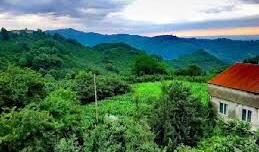 Salıpazarı Yaylalarında Doğa ve Kültür