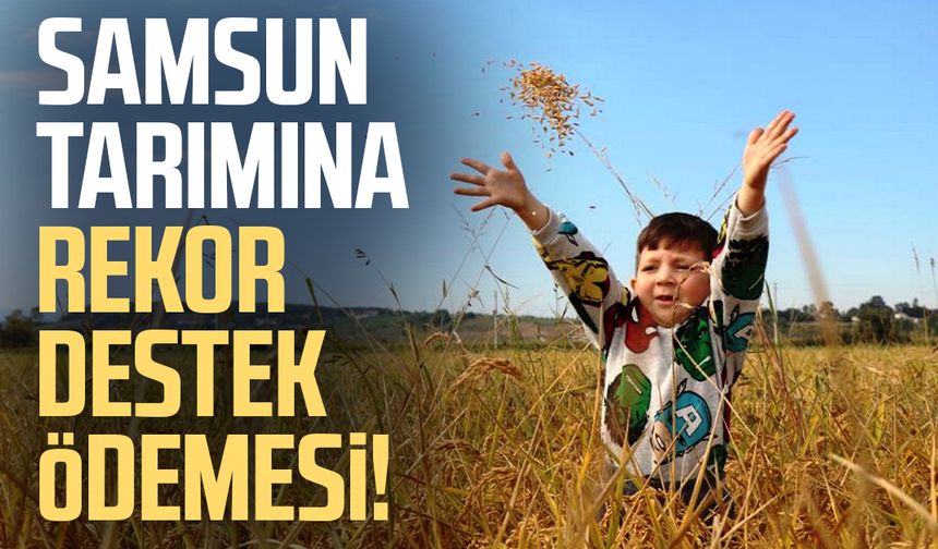 Samsun tarımına rekor destek ödemesi!