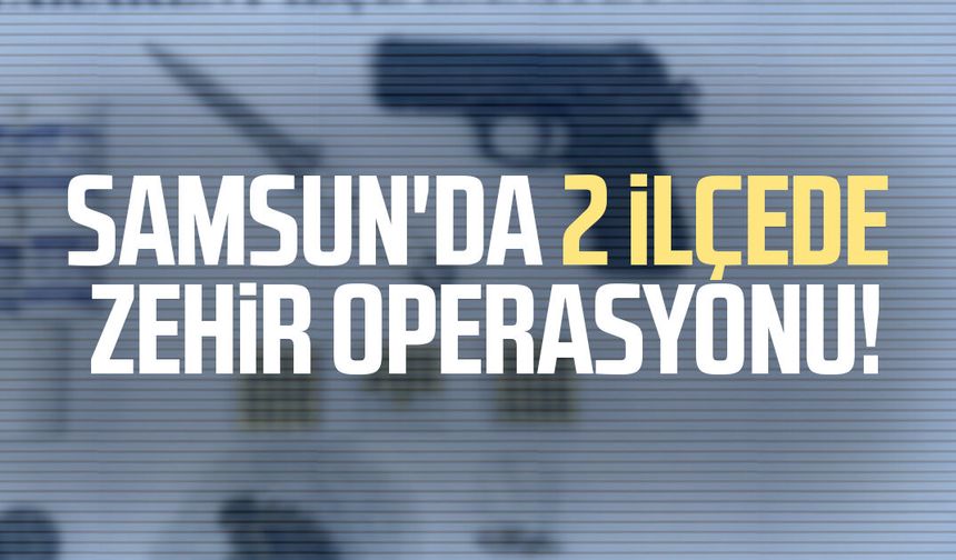 Samsun'da 2 ilçede zehir operasyonu! Yakalandılar