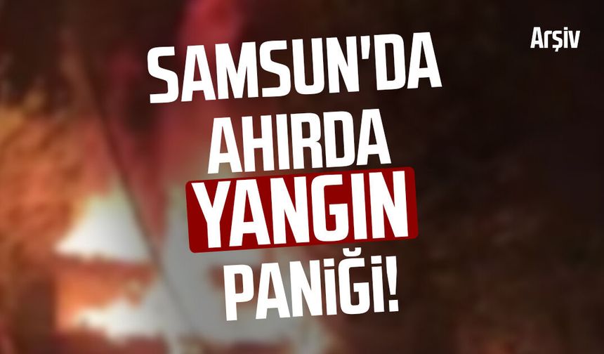 Samsun'da ahırda yangın paniği!