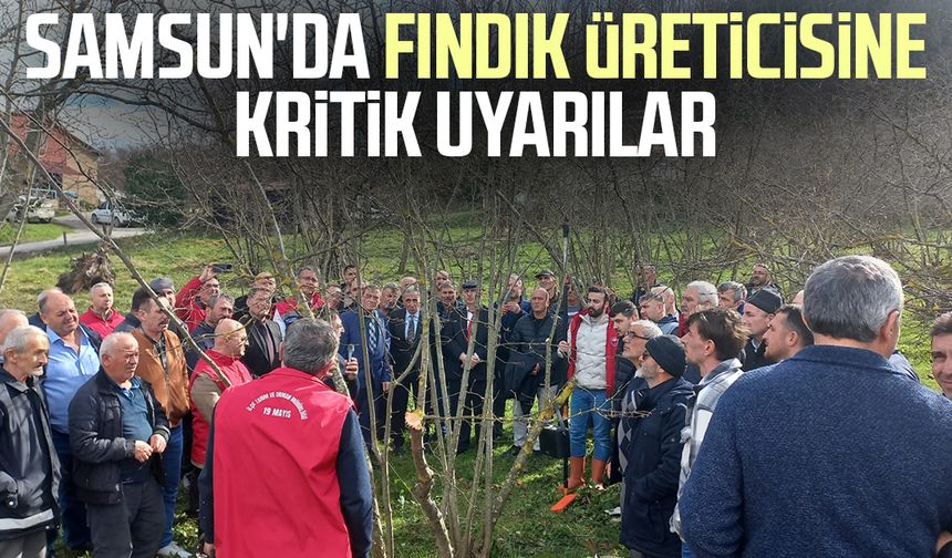 Samsun'da fındık üreticisine kritik uyarılar