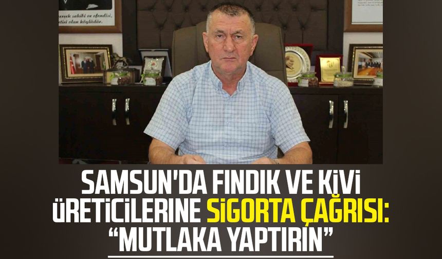 Samsun'da fındık ve kivi üreticilerine sigorta çağrısı