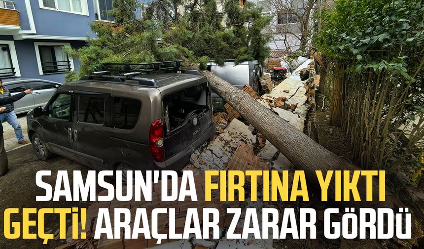 Samsun'da fırtına yıktı geçti! Araçlar zarar gördü
