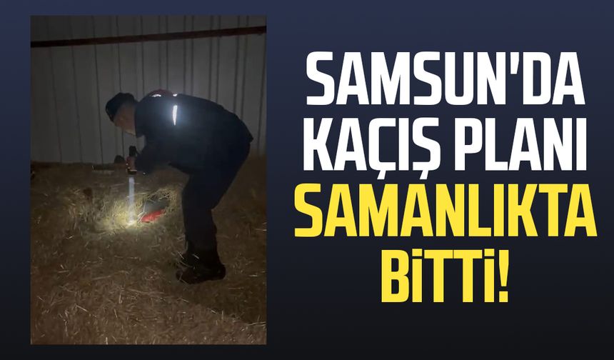 Samsun'da kaçış planı samanlıkta bitti!