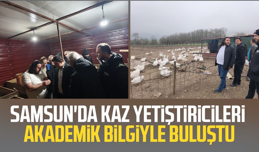 Samsun'da kaz yetiştiricileri akademik bilgiyle buluştu