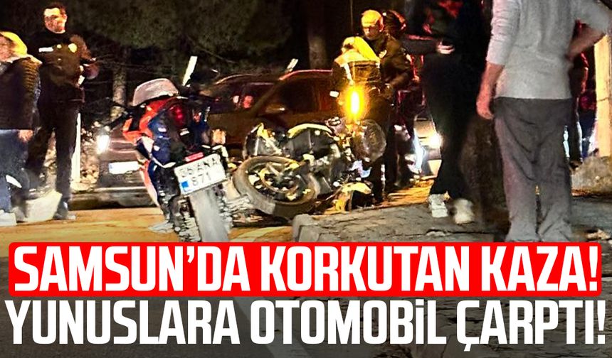 Samsun'da korkutan kaza! Yunuslara otomobil çarptı