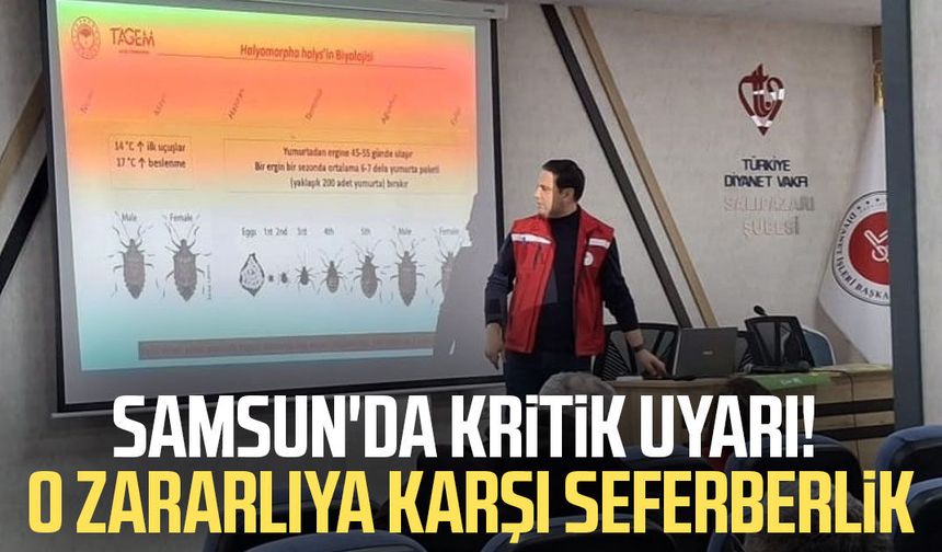 Samsun'da kritik uyarı! O zararlıya karşı seferberlik