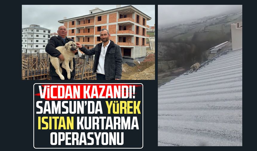 Vicdan kazandı! Samsun yürek ısıtan kurtarma operasyonu