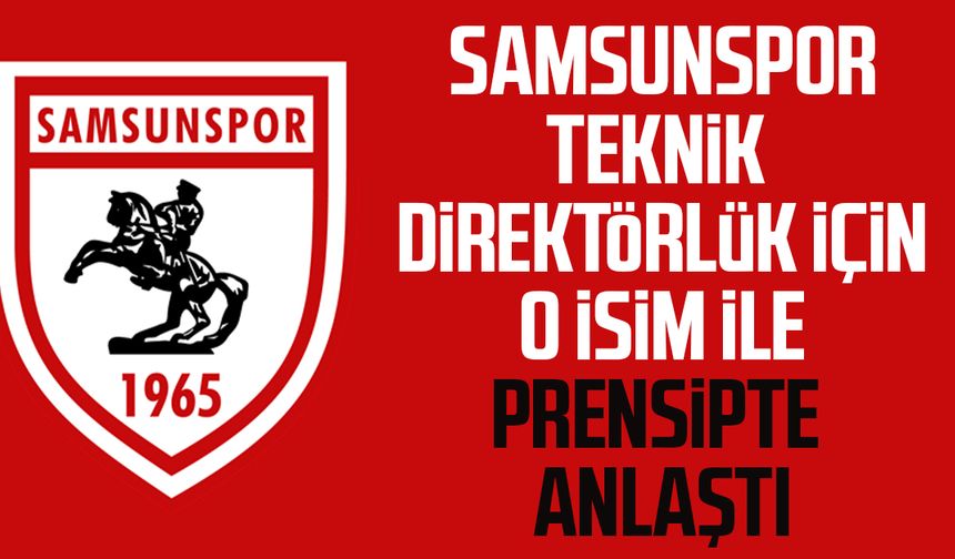 Samsunspor'da Teknik Direktör Thorsten Fink ile prensipte anlaşıldı