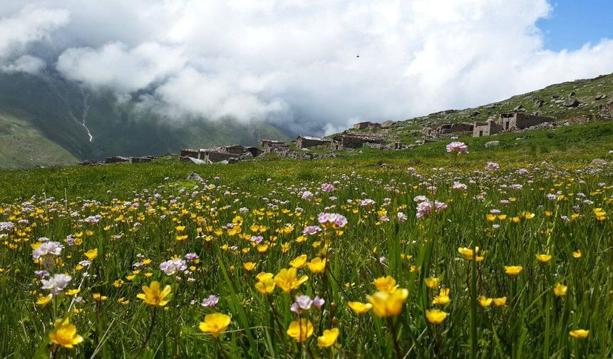 Asarcık Yaylalarında Mevsimlik Göç Kültürü