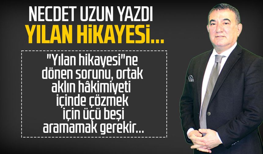 Necdet Uzun yazdı: Yılan hikayesi...