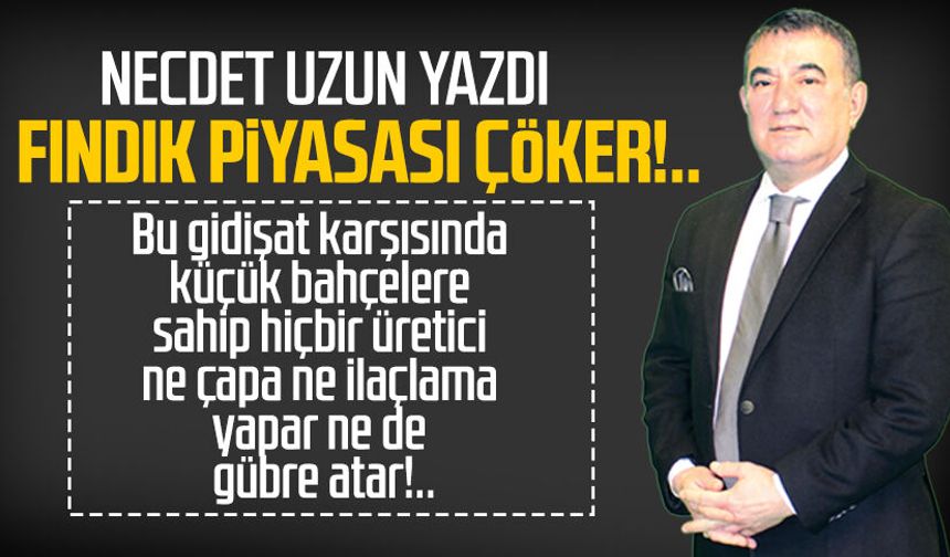 Necdet Uzun yazdı: Fındık piyasası çöker!..