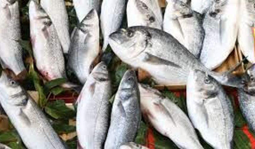 Yakakent’te Günlük Avlanan Balıklarla Sofra Kültürü