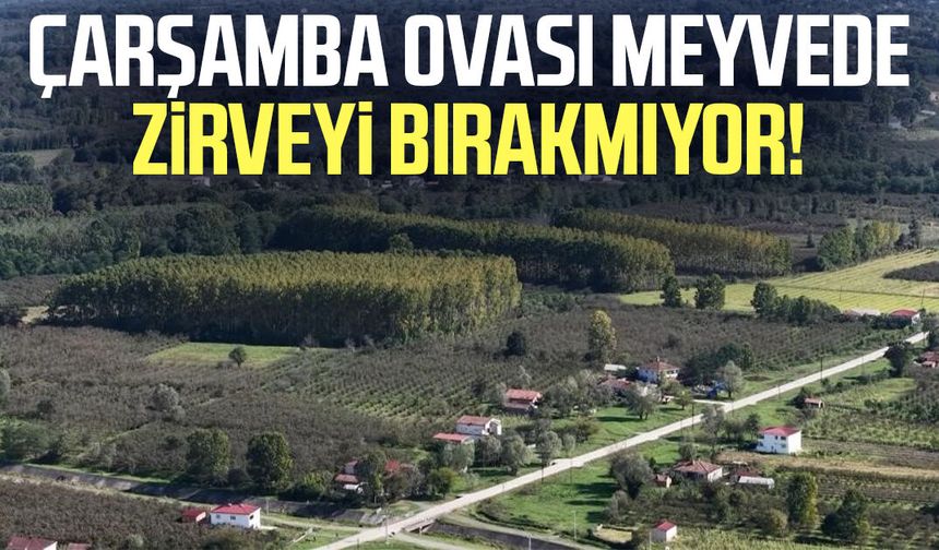 Çarşamba Ovası meyvede zirveyi bırakmıyor!