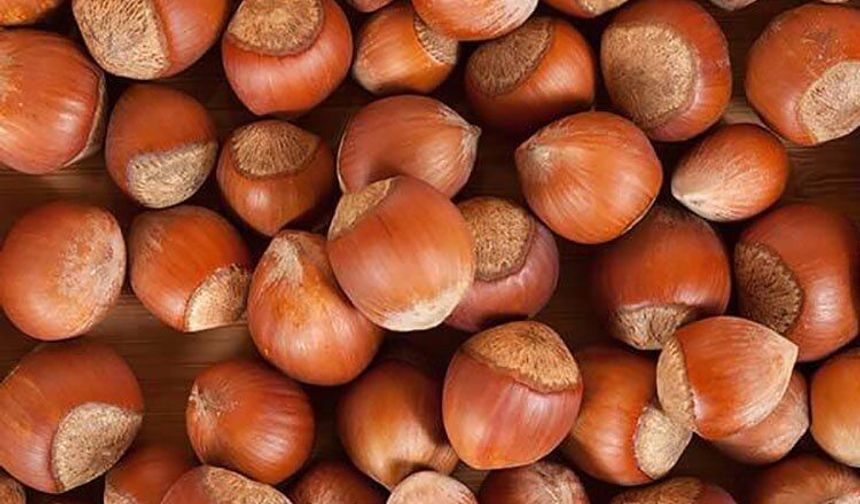 Salıpazarı’nda Fındıkla Yapılan Tatlı Kültürü