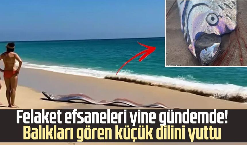 Sahile iki “kıyamet balığı” vurdu! Felaket efsaneleri yeniden gündemde