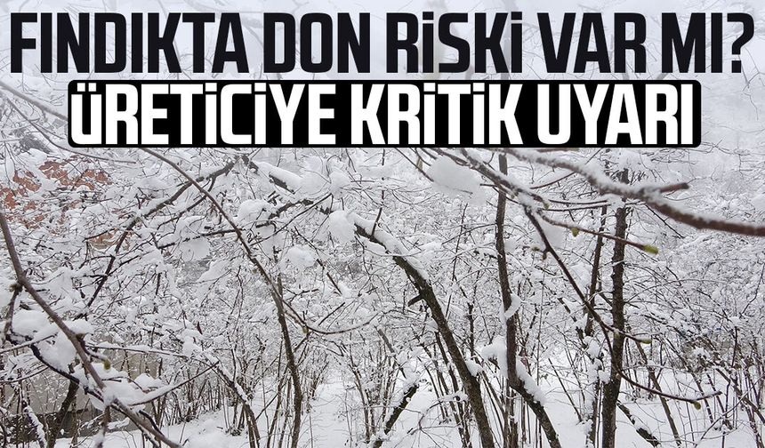 Fındıkta don riski var mı? Üreticiye kritik uyarı