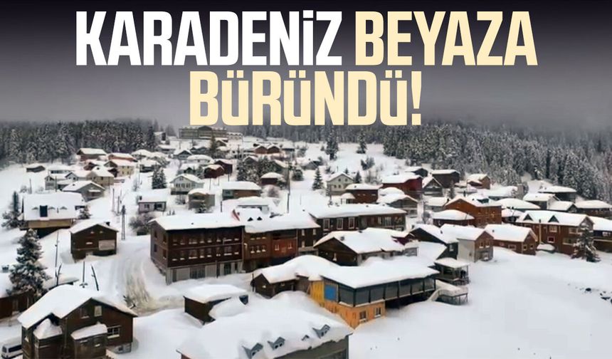 Giresun’da kar manzarası büyüledi! Yayla beyaza büründü