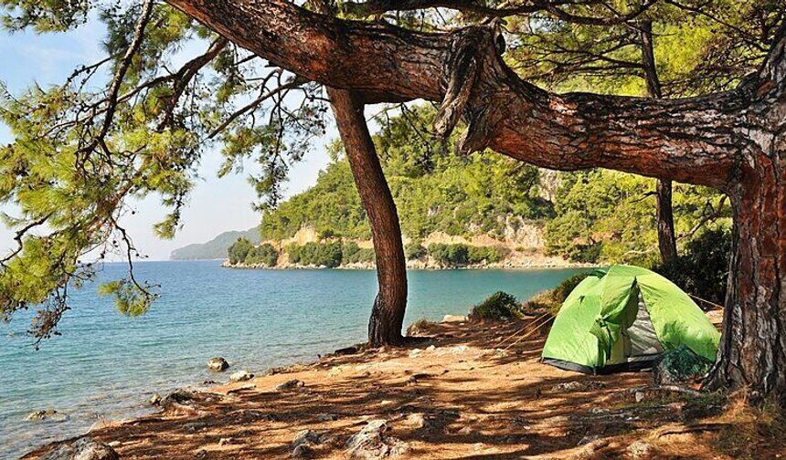 19 Mayıs İlçesinde Sahil ve Kamp Deneyimi