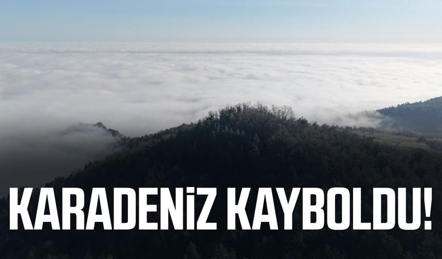 Karadeniz kayboldu! Samsun'da sis denizi şaşırttı