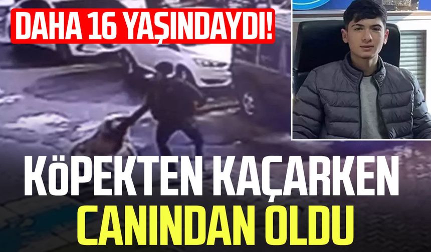 Daha 16 yaşındaydı! Köpekten kaçarken canından oldu