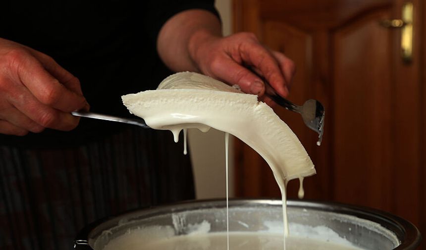 Terme’de Manda Kaymağı ve Kahvaltı Sofraları