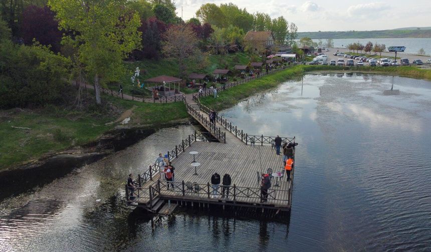 Ladik Gölü Çevresinde Mevsimsel Yaşam Döngüsü