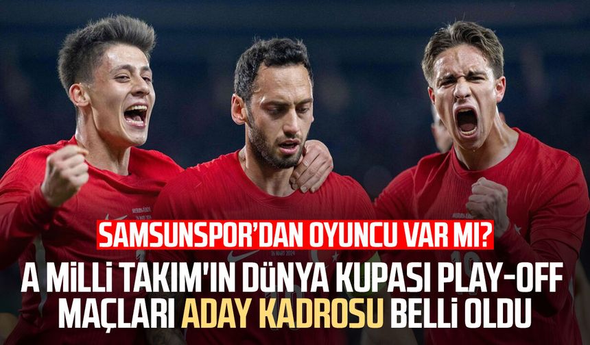 A Milli Takım'ın Dünya Kupası play-off maçları aday kadrosu belli oldu
