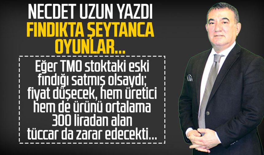 Necdet Uzun yazdı: Fındıkta şeytanca oyunlar...