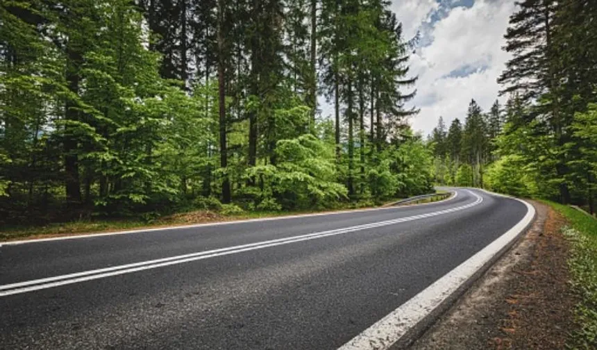 Orman yolu sanat yapısı yaptırılacak