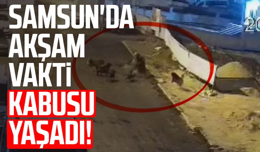 Samsun'da akşam vakti kabusu yaşadı!