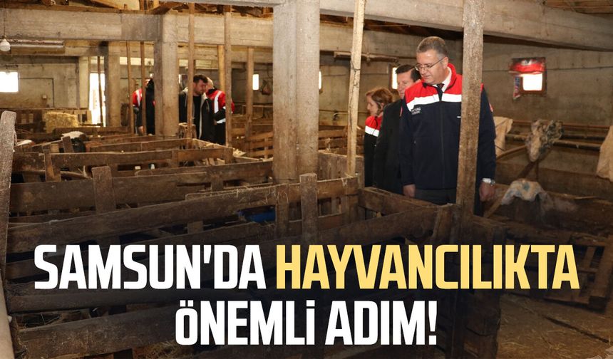 Samsun'da hayvancılıkta önemli adım!