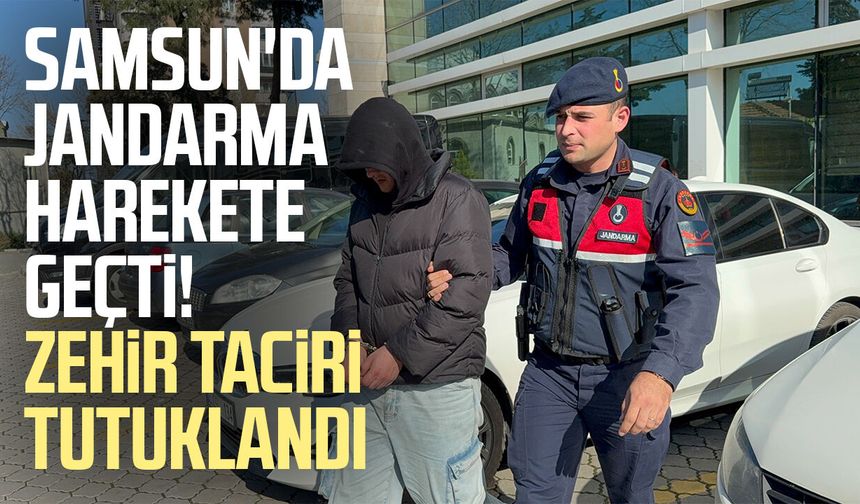 Samsun'da jandarma harekete geçti! Zehir taciri tutuklandı