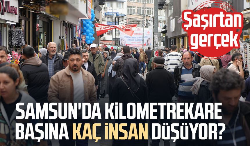 Samsun'da kilometrekare başına kaç insan düşüyor? Şaşırtan gerçek