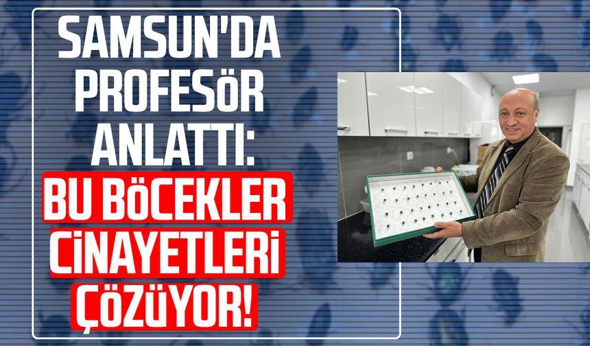 Samsun'da profesör anlattı: Bu böcekler cinayetleri çözüyor