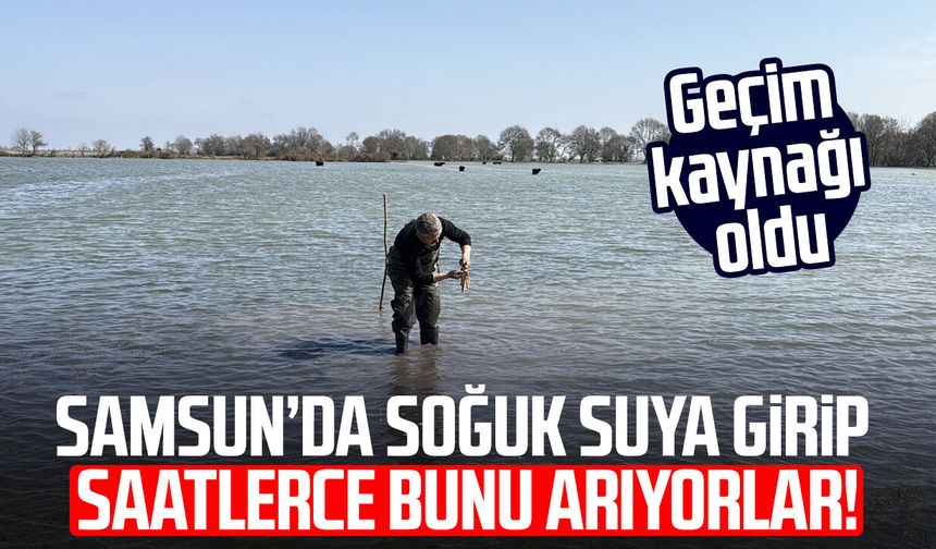 Samsun’da soğuk suya girip saatlerce bunu arıyorlar! Geçim kaynağı oldu