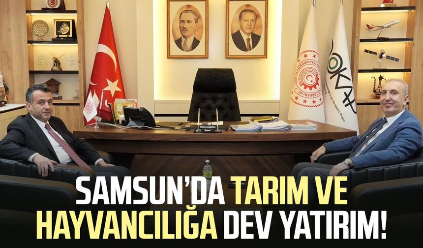Samsun’da tarım ve hayvancılığa dev yatırım!