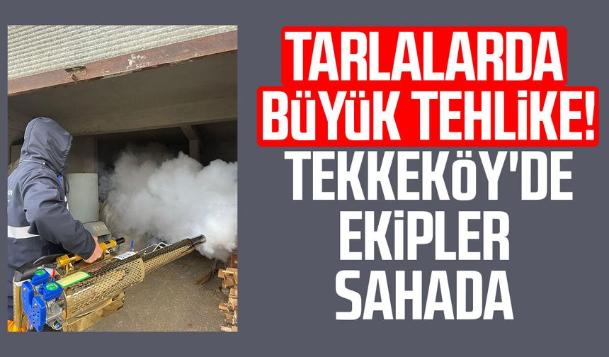 Tarlalarda büyük tehlike! Tekkeköy'de ekipler sahada