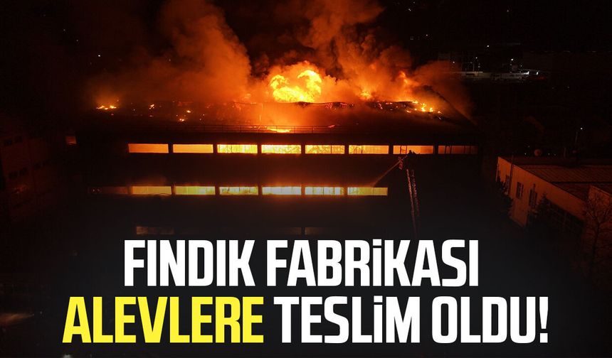 Trabzon'da fındık fabrikası alevlere teslim oldu!