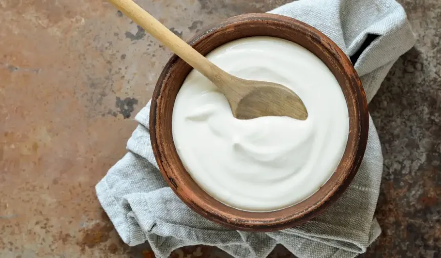 Terme’de Manda Yoğurdu ve Süt Ürünleri