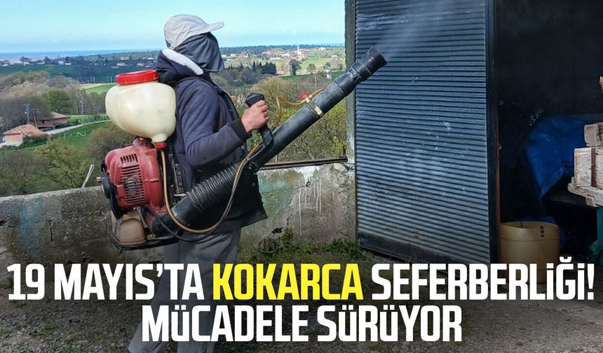 19 Mayıs’ta kokarca seferberliği! Mücadele sürüyor