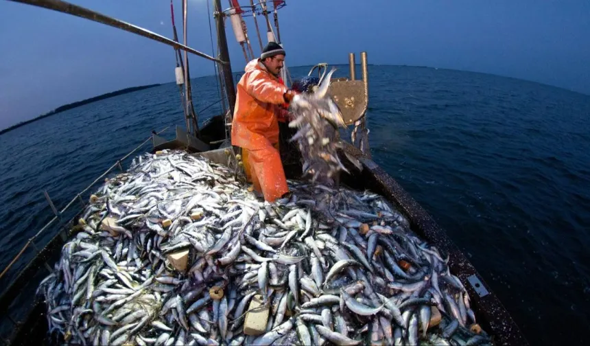 Yakakent’te balıkçılık ve mutfak ilişkisi